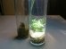 画像1: さゞれ鉢瓶栽+LED+ラボ設備 鉱物標本的培養試験管 (1)