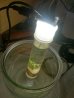 画像5: さゞれ鉢瓶栽+LED+ラボ設備 鉱物標本的培養試験管