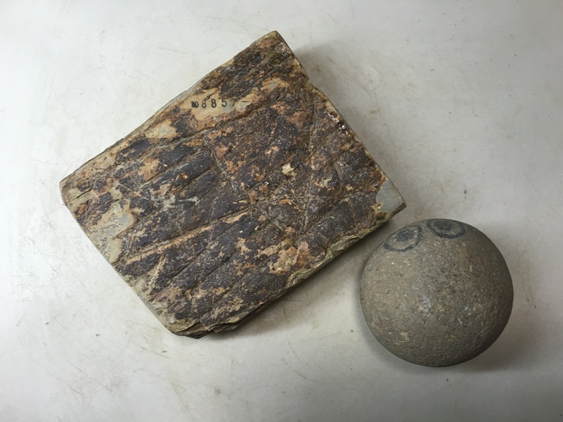 画像3: 天然砥石 正本山 山城銘砥中世中山巣板なんとむしろはだ0.7Kg 8857