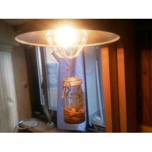 画像: さゞれ鉢瓶栽+LED電球+傘電セード＝3308サイビンマン
