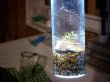 画像3: さゞれ鉢瓶栽+LED+ラボ設備 鉱物標本的培養試験管
