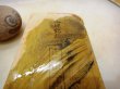 画像4: 天然砥石 山城銘砥 奥殿本巣板巣なし 4897