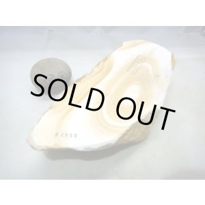 画像: 天然砥石 古代伊豫銘砥 木目ジョリジョリ巨大 4955