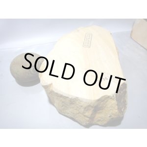 画像: 天然砥石 古代伊豫銘砥 オレピンストライプほっこりキング 5435