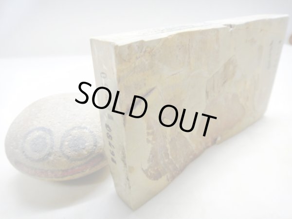 画像2: 天然砥石 山城銘砥 中世中山神銘砥なまずからす烈降烈細烈滑走 6750