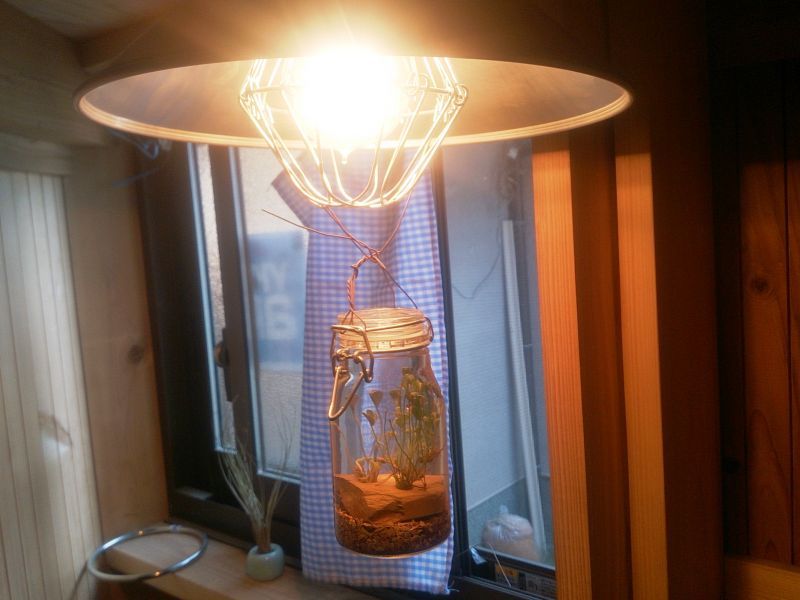 画像1: さゞれ鉢瓶栽+LED電球+傘電セード＝3308サイビンマン