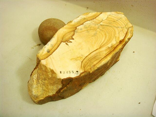 画像: 天然砥石 伝統1200年 伊予蟻の木 木目まるっぽ苔むす 純仕上 2455